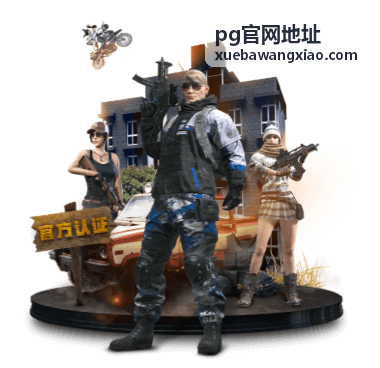 PG官网平台功能模块介绍封面